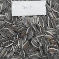 2017nouvelle récolte graines de tournesol chinoises 5009